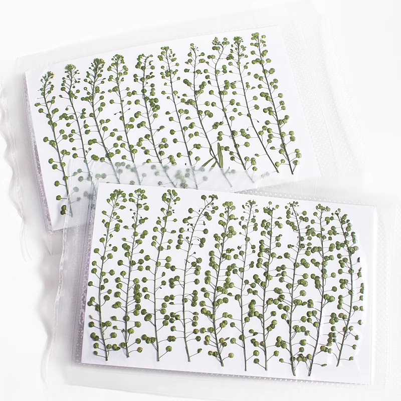 Campana verde de Color Natural - Resin Craft Ideas reseña y precio