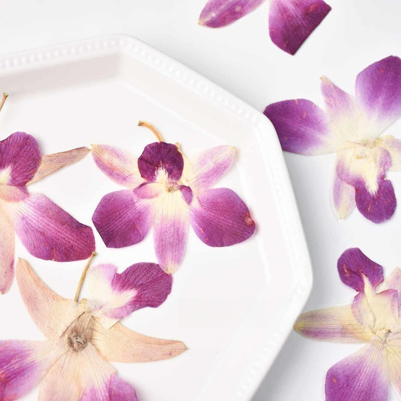 4 piezas, Flores de Orquídea M - Resin Craft Ideas reseña y precio