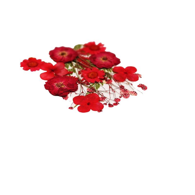 Flores de Plantas Secas Prensa - Resin Craft Ideas reseña y precio