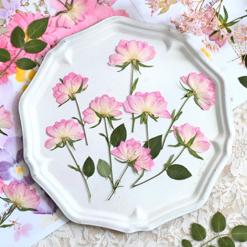 12 Piezas de Flores Secas Pren - Resin Craft Ideas reseña y precio
