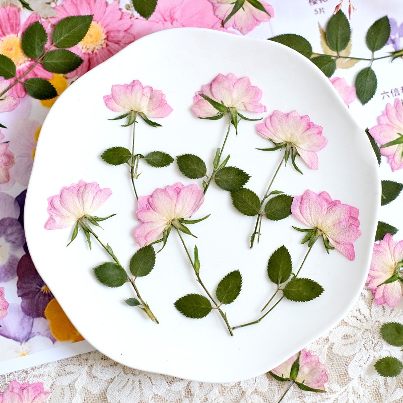 12 Piezas de Flores Secas Pren - Resin Craft Ideas reseña y precio