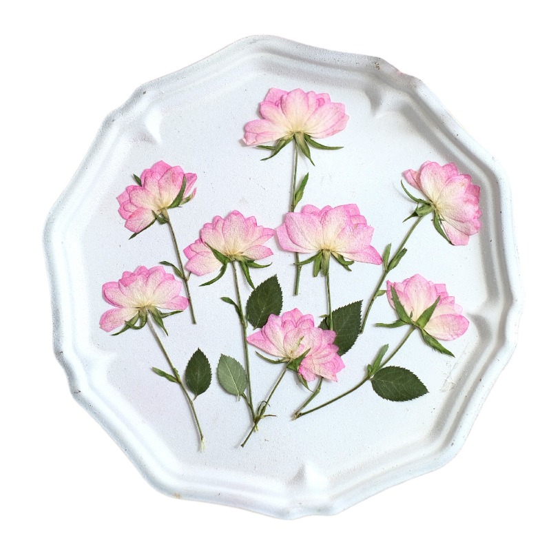 12 Piezas de Flores Secas Pren - Resin Craft Ideas reseña y precio